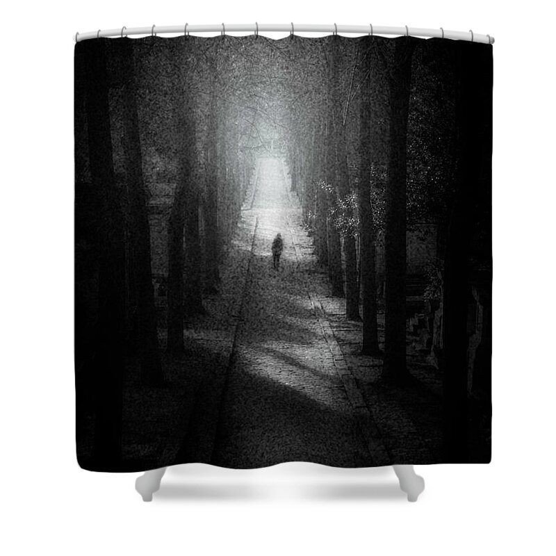 Trees Shower Curtain featuring the digital art Walking Alone by Celso Bressan