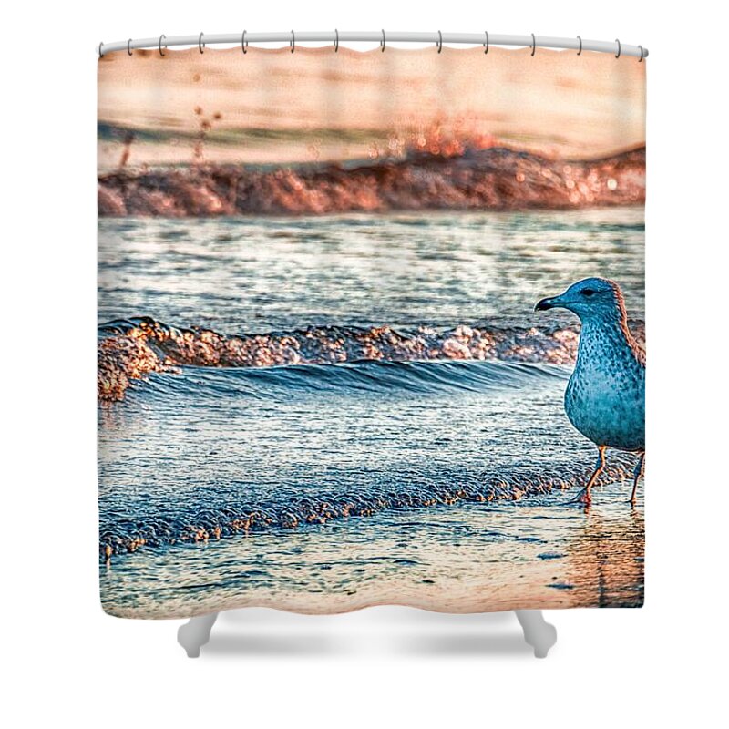 Ocean Shower Curtain featuring the photograph Walking On Sunshine by Mathias Janke