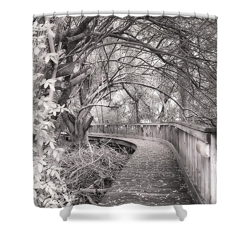 Englewood Shower Curtain featuring the photograph Walkway by Alison Belsan Horton