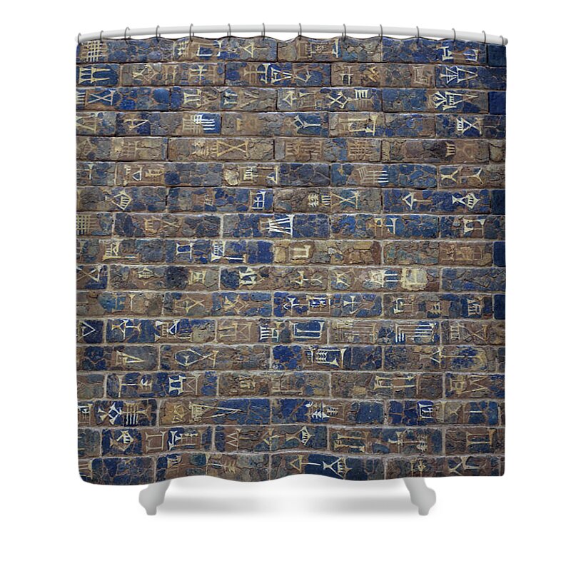Ancient Shower Curtain featuring the photograph Wall of Ischtar by Patricia Hofmeester