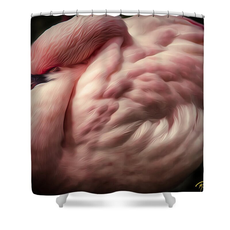Animals Shower Curtain featuring the photograph Warmth and Repose by Rikk Flohr