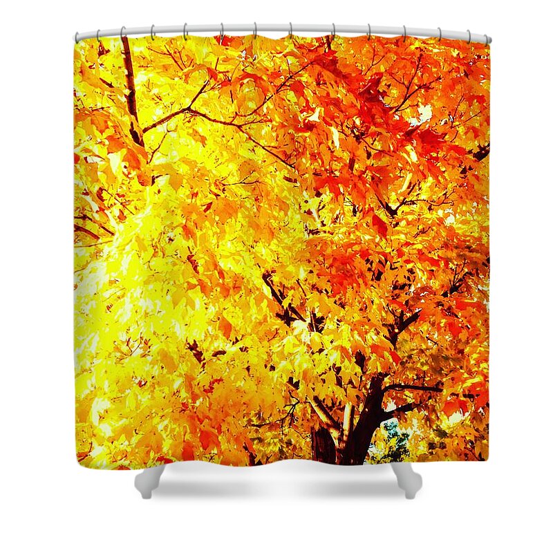 Orange Shower Curtain featuring the photograph Warmth of Fall by Michael Oceanofwisdom Bidwell