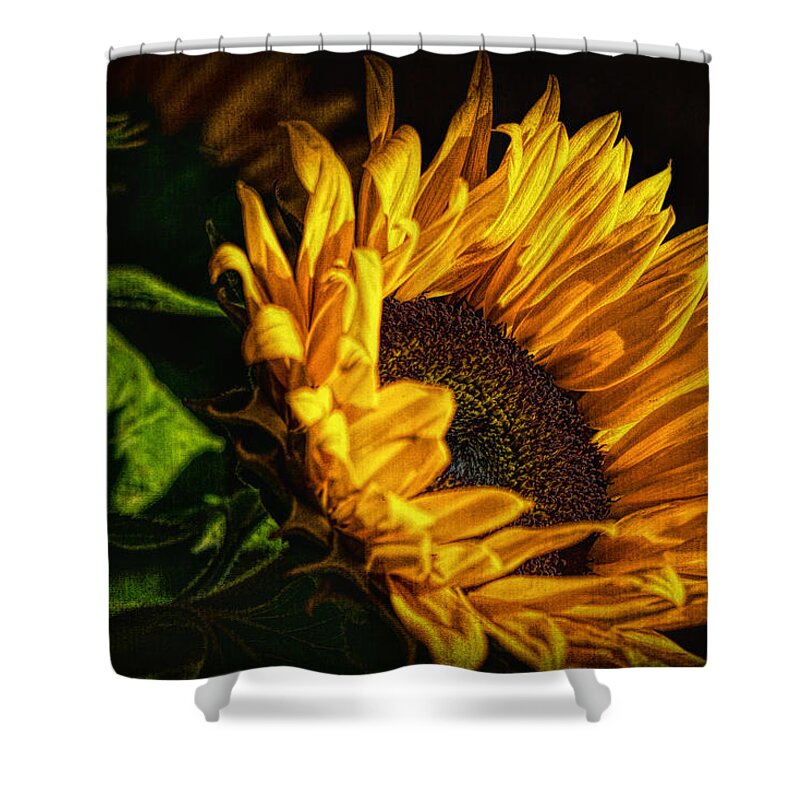 Hdr Shower Curtain featuring the photograph Warmth of the Sunflower by Michael Hope