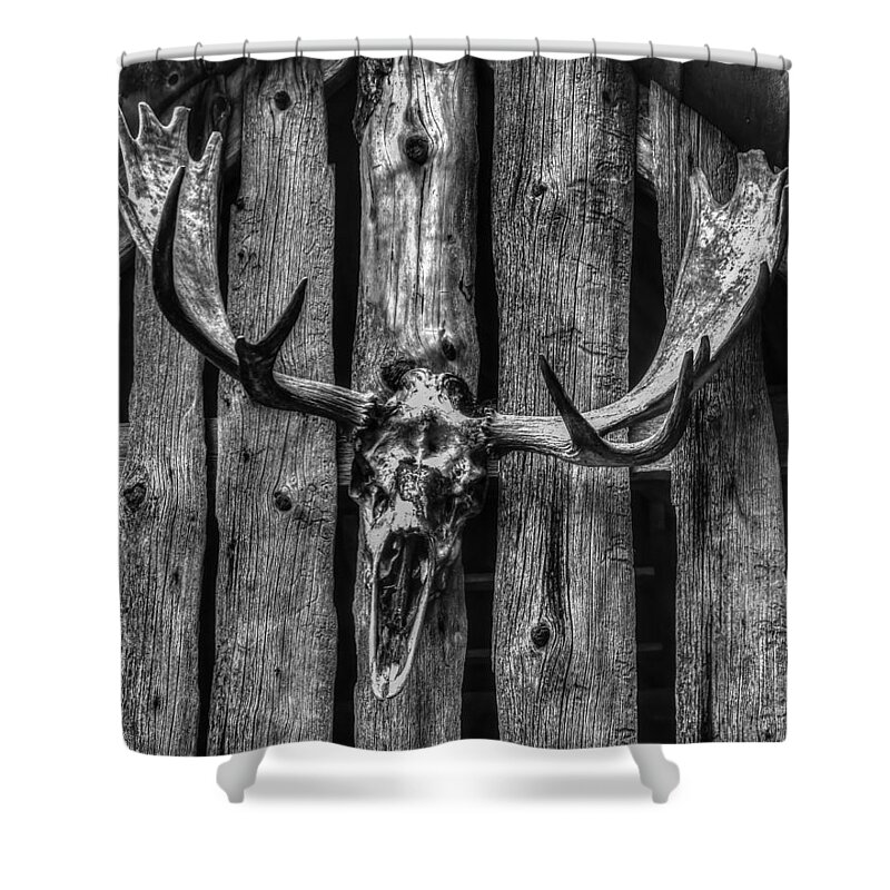 Moose Shower Curtain featuring the photograph Warning Sign by Don Mennig