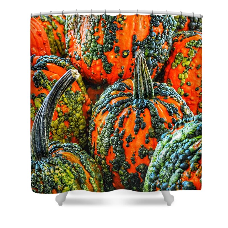 Pumpkins Shower Curtain featuring the photograph Warty Pumkins by Joseph Caban