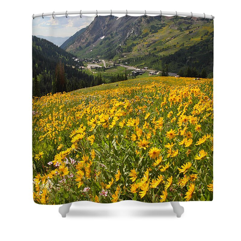 Landscape Shower Curtain featuring the photograph Wasatch Wildflowers by Brett Pelletier