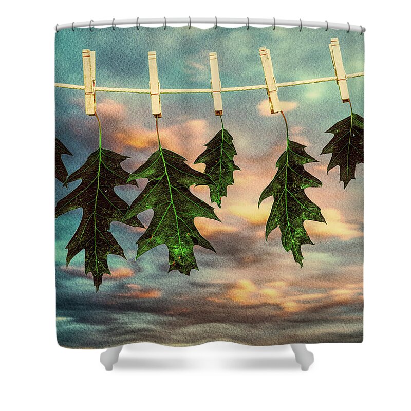 Nature Shower Curtain featuring the photograph Wash Day by Bob Orsillo