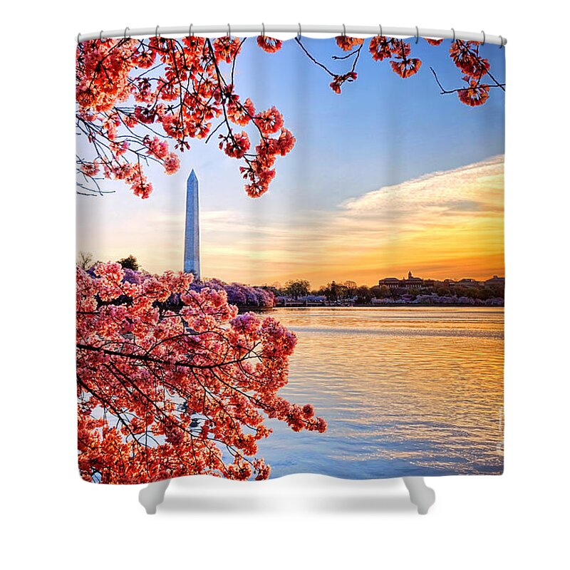 Washington Shower Curtain featuring the photograph Washington Cherry Tree Sunrise by Olivier Le Queinec