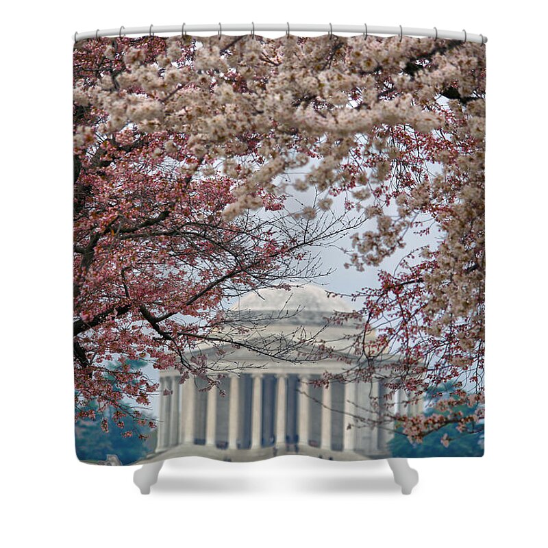 Cherry Blossoms Shower Curtain featuring the photograph Washington Spring by Mitch Cat