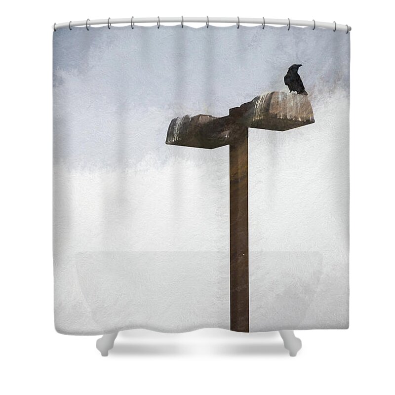 Crow Shower Curtain featuring the photograph Watch Crow Watch 2 - by Julie Weber