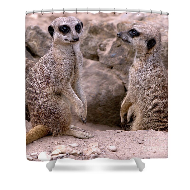 Animal Shower Curtain featuring the photograph Watchers by Baggieoldboy