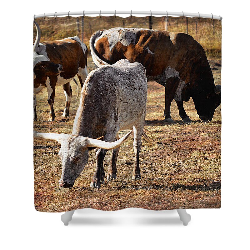 Texas Longhorns Shower Curtain featuring the photograph Watchful Eyes by Glenn McCarthy Art and Photography