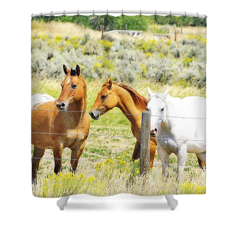 Horses Shower Curtain featuring the photograph Watchful by Merle Grenz