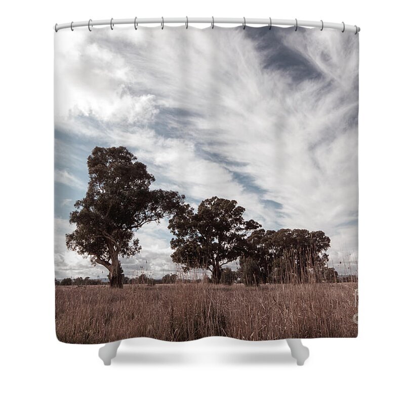 Clouds Shower Curtain featuring the photograph Watching clouds float across the sky by Linda Lees