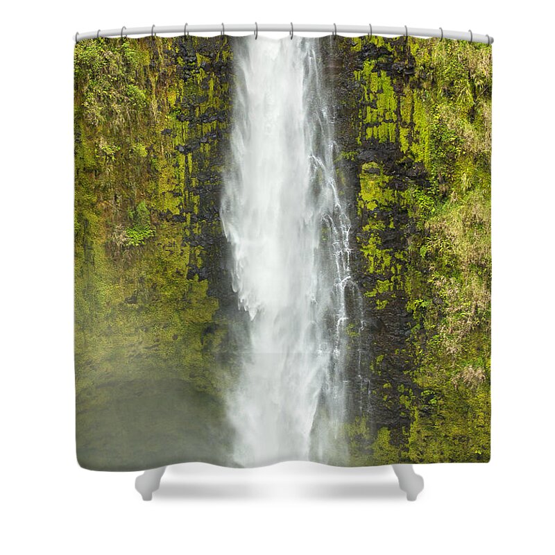 Akaka Falls Shower Curtain featuring the photograph Watching The Water Fall by Bill and Linda Tiepelman