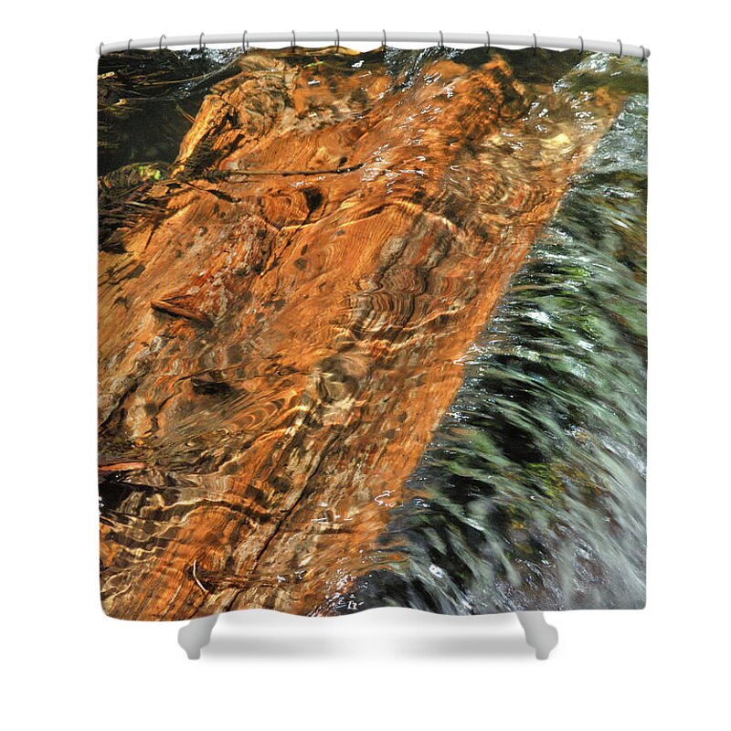 Nature Shower Curtain featuring the photograph Water And Wood by Ron Cline