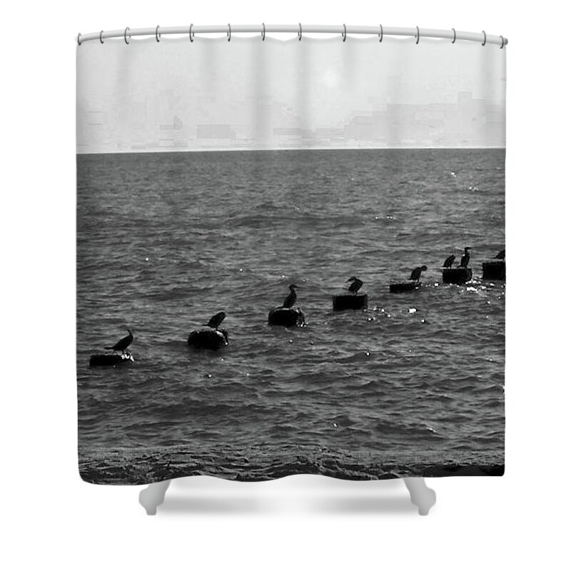 Water Shower Curtain featuring the photograph Water Birds by Michelle Hoffmann