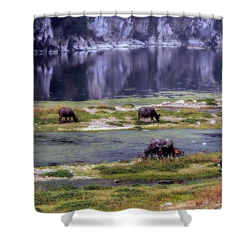 Water Buffalo Shower Curtain featuring the photograph Water Buffalo on the Li River China by Lynn Bolt