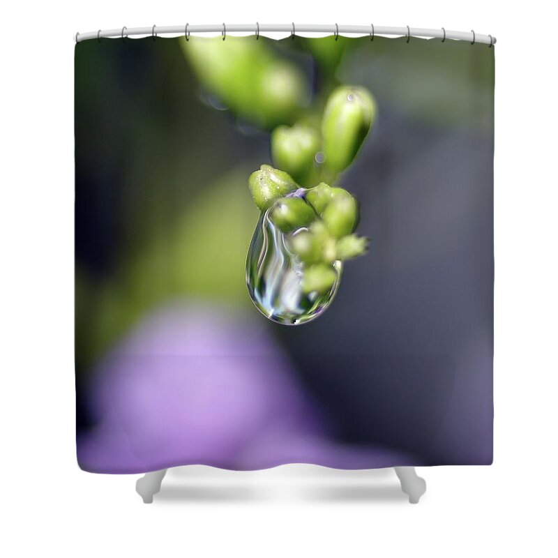 Macro Photography Shower Curtain featuring the photograph Water Droplet IV by Richard Rizzo