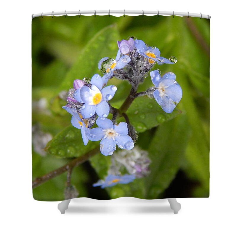 Flower Shower Curtain featuring the photograph Water Drops by Gallery Of Hope 