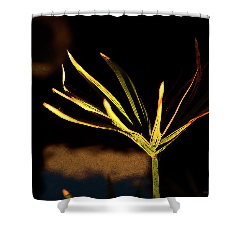 Plants Shower Curtain featuring the photograph Water Grass by Coke Mattingly