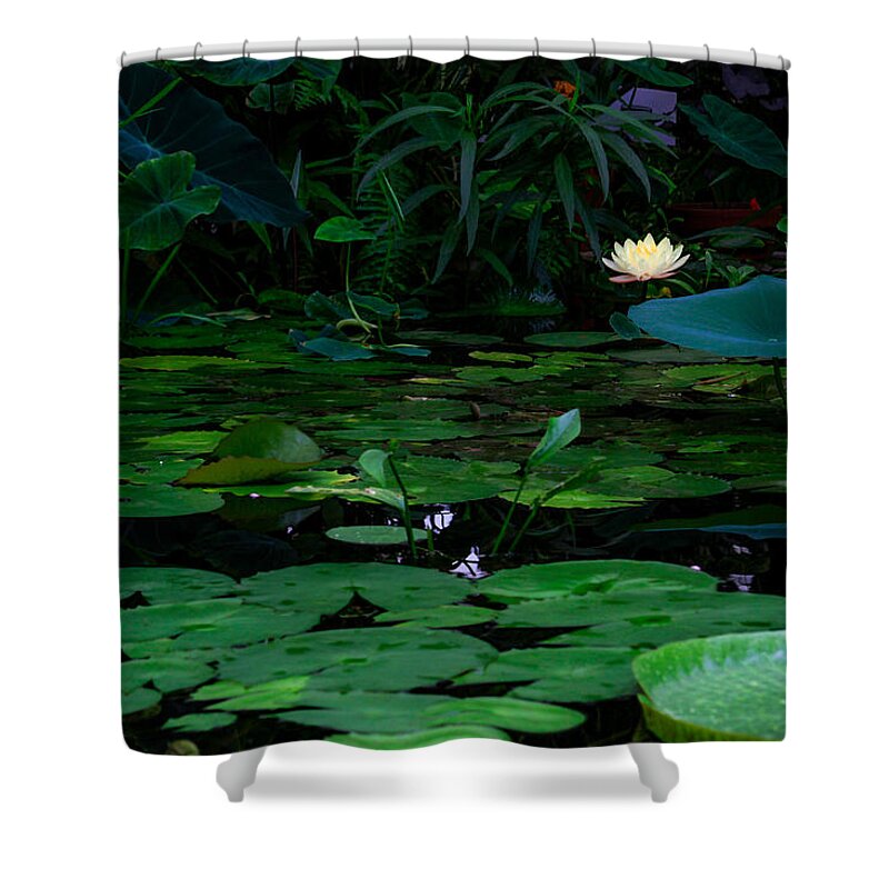 Bonnie Follett Shower Curtain featuring the photograph Water Lilies in the Pond by Bonnie Follett
