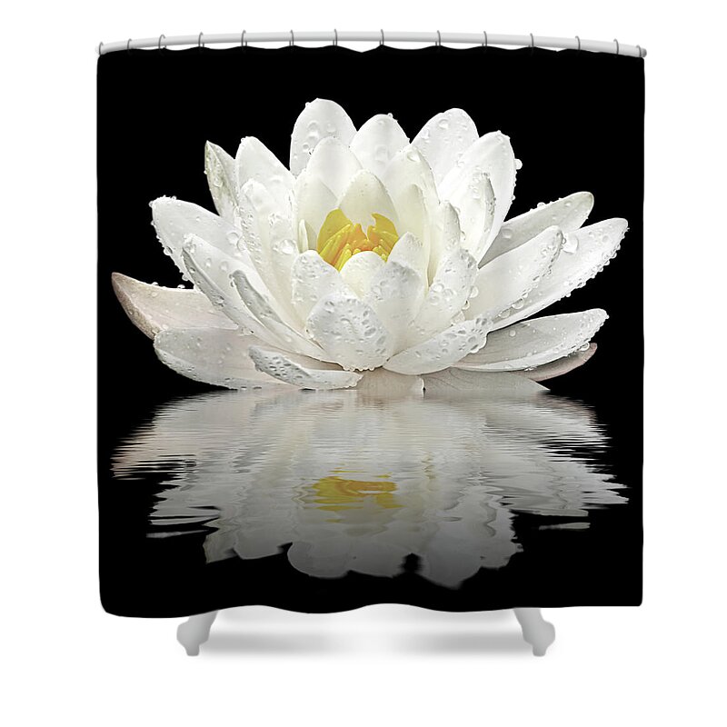 White Waterlily Shower Curtain featuring the photograph Water Lily Reflections on Black by Gill Billington