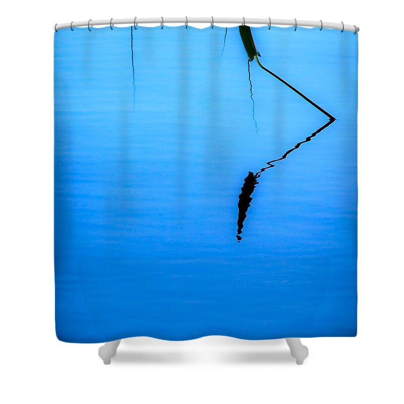 Minimalism Shower Curtain featuring the photograph Water Plants - Minimalist by James Aiken