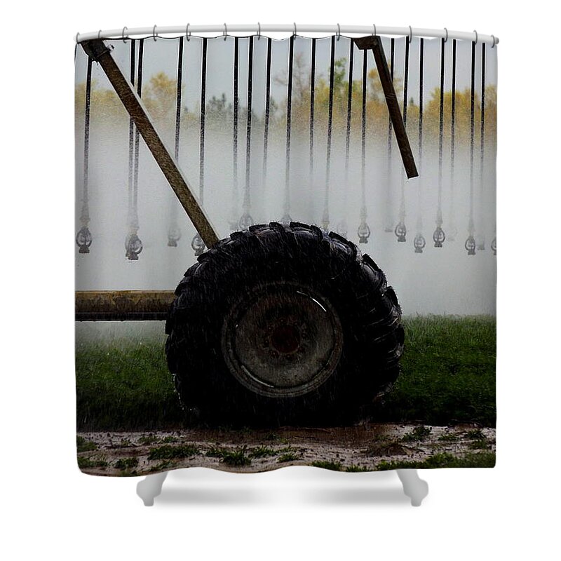 Carrots Shower Curtain featuring the photograph Water the Carrots by Julie Pappas
