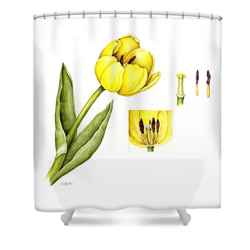 Flower Shower Curtain featuring the painting Watercolor Flower Yellow Tulip by Karla Beatty