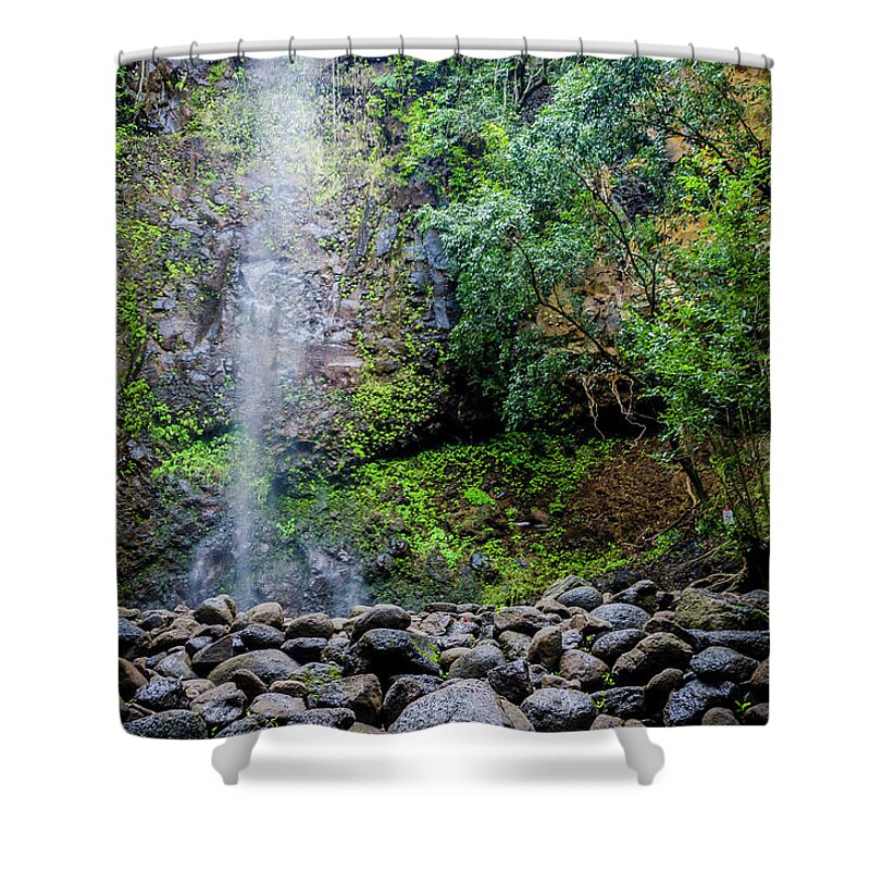 Flowers Shower Curtain featuring the photograph Waterfall and Flowers by Daniel Murphy