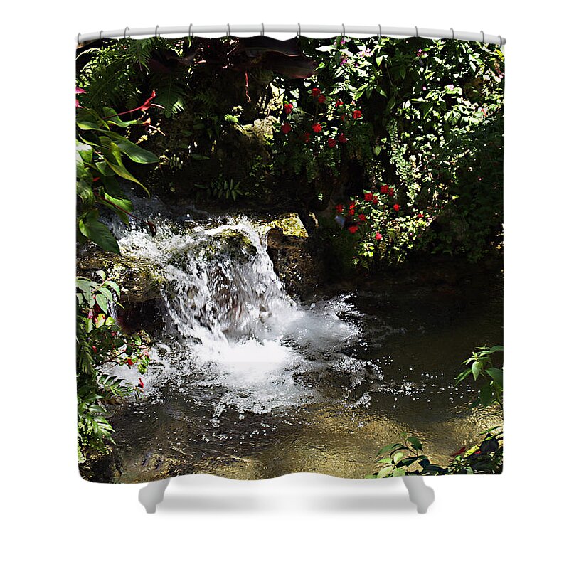 Water Shower Curtain featuring the photograph Waterfall by Bob Johnson