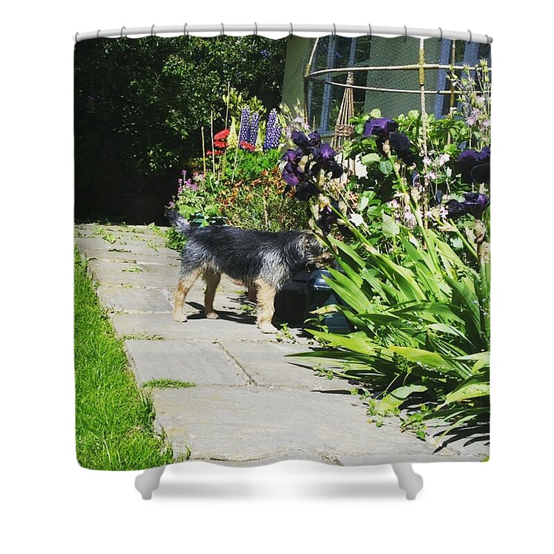 Bestfriend Shower Curtain featuring the photograph Watering Hole by Rowena Tutty