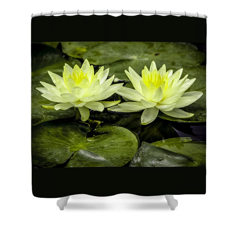 Waterlilies Shower Curtain featuring the photograph Waterlily Duet by Venetia Featherstone-Witty