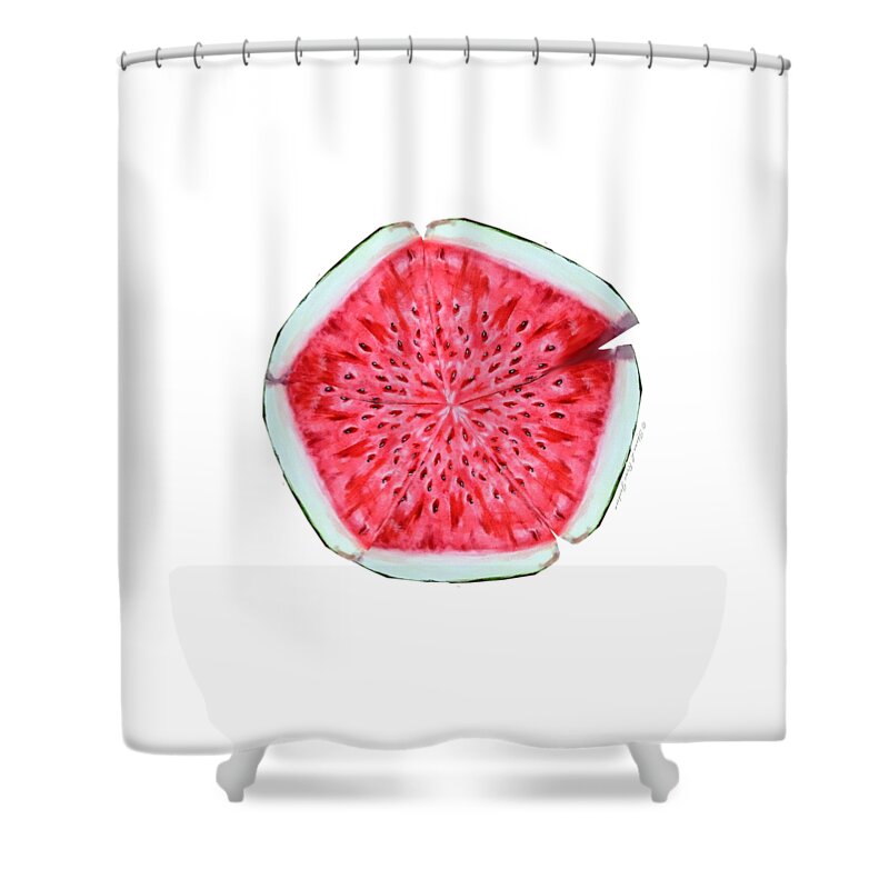 Fruit Shower Curtain featuring the painting Watermelon Star Wheel by Shana Rowe Jackson