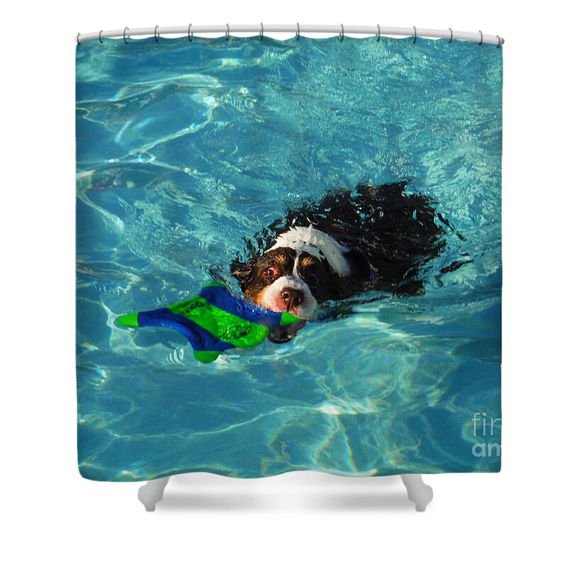 Water Dog Series Shower Curtain featuring the photograph Water Dogs Series 3 by Paddy Shaffer