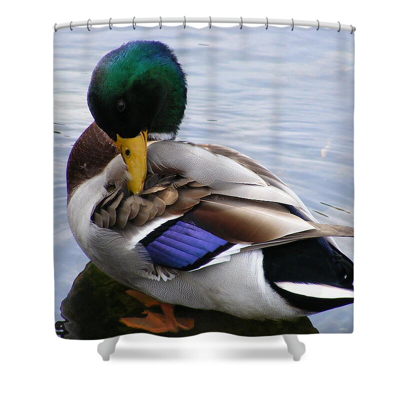 Wildlife Shower Curtain featuring the photograph Waters Edge by Doug Mills