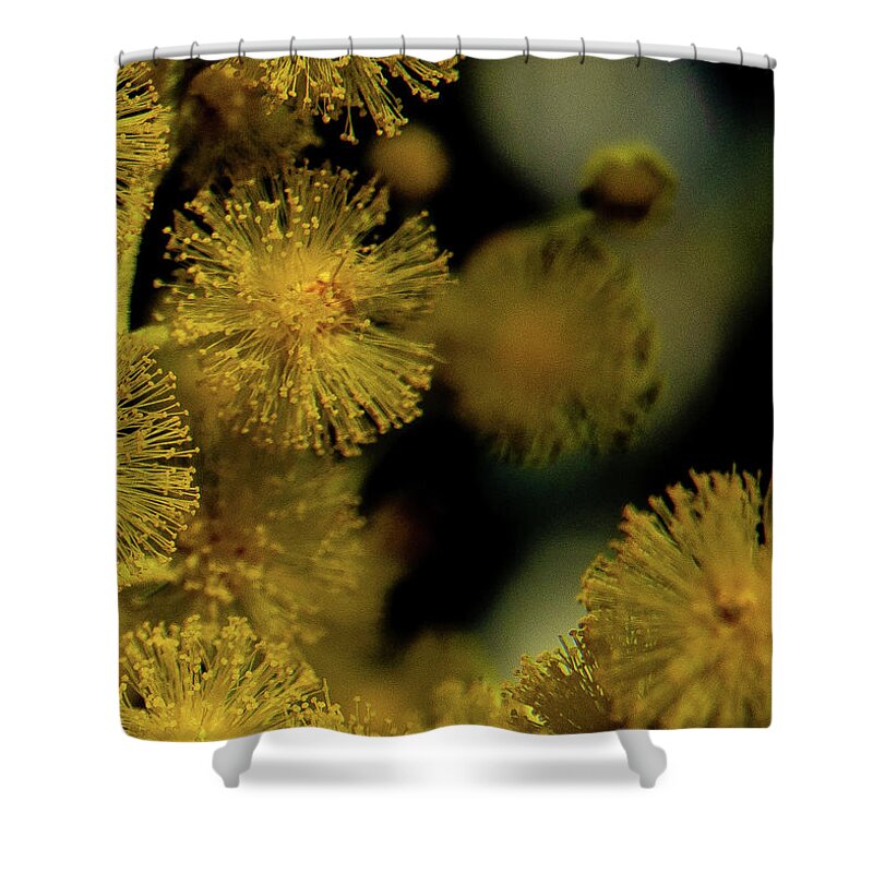 Flower Shower Curtain featuring the photograph Wattle Flowers by Jeremy Holton