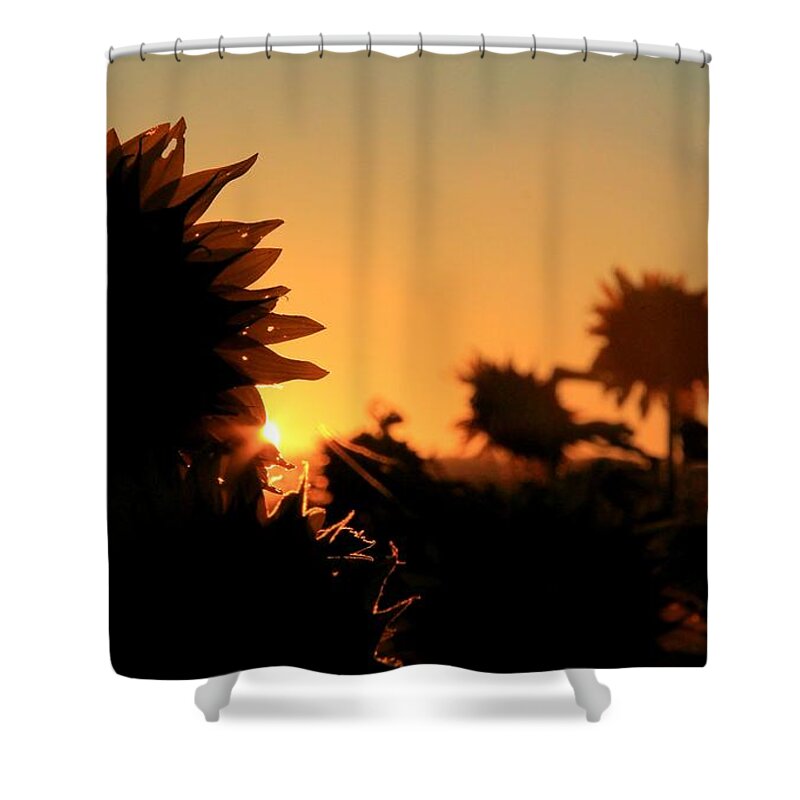 Farms Shower Curtain featuring the photograph We Are Sunflowers by Chris Berry