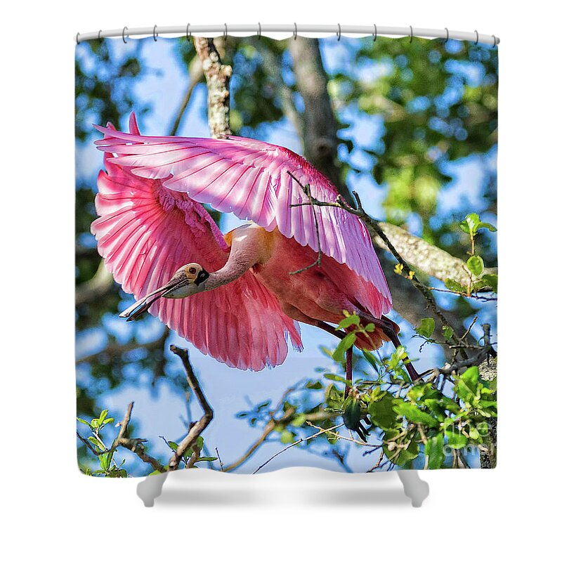 Spoonbills Shower Curtain featuring the photograph We Have Lift Off by DB Hayes
