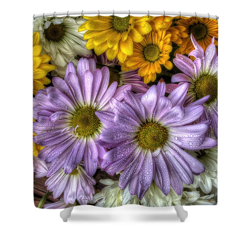Daisies Shower Curtain featuring the photograph We Need To Be Together by Mike Eingle