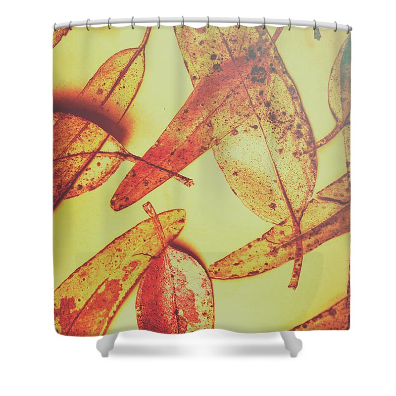 Abstracts Shower Curtain featuring the photograph Weathered autumn leaves by Jorgo Photography
