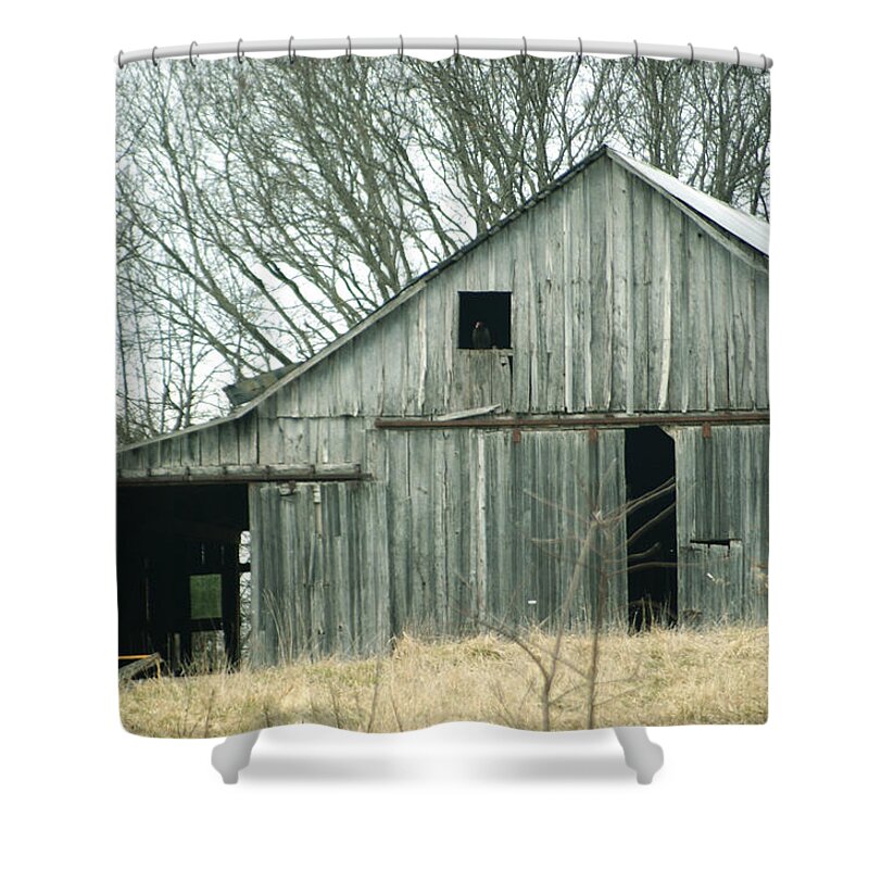 Barn Shower Curtain featuring the photograph Weathered Barn in Winter by Cricket Hackmann