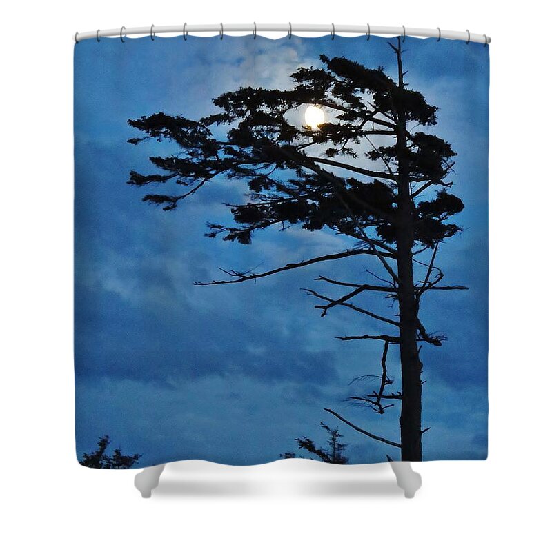 Night Sky Shower Curtain featuring the photograph Weathered Moon Tree by Michele Penner