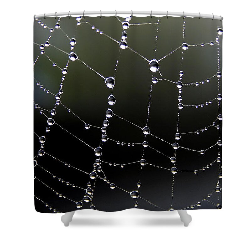 Spider Web Shower Curtain featuring the digital art Web by Julian Perry