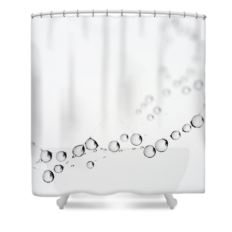 Spider Web Shower Curtain featuring the photograph Web Water Baubles by Rebecca Cozart