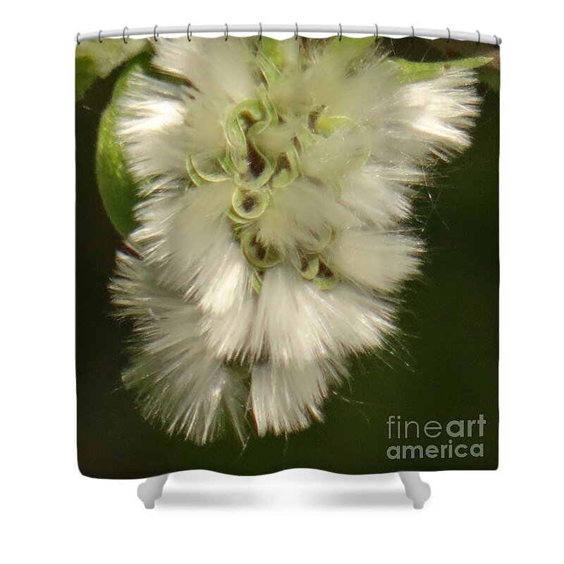 Spring Shower Curtain featuring the photograph Welcome spring by Karin Ravasio