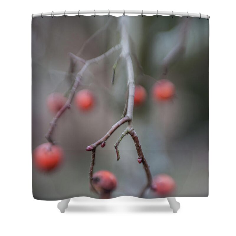 Red Berry Shower Curtain featuring the photograph Well Hung by Scott Campbell