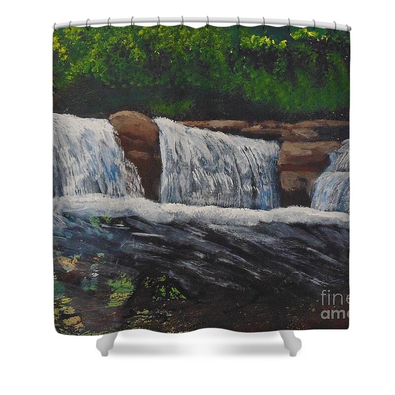 Water Shower Curtain featuring the painting West Virgina Water falls by Joe Hagarty
