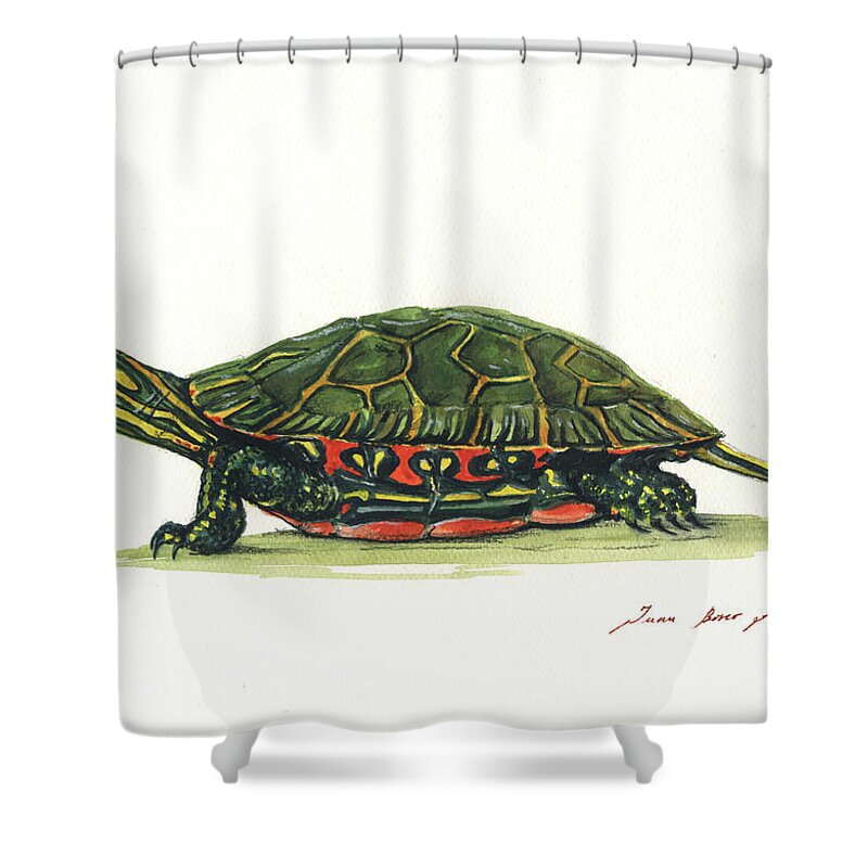 Western Painted Tortoise Shower Curtain featuring the painting Western painted tortoise by Juan Bosco